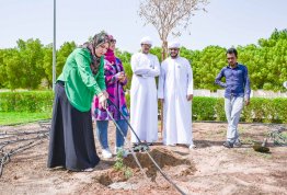 Sustainable tree planting Event