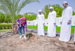 Sustainable tree planting Event